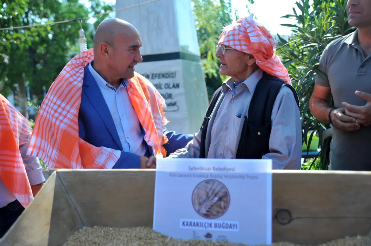 Belediyeden karakılçık buğdayına alım garantisi