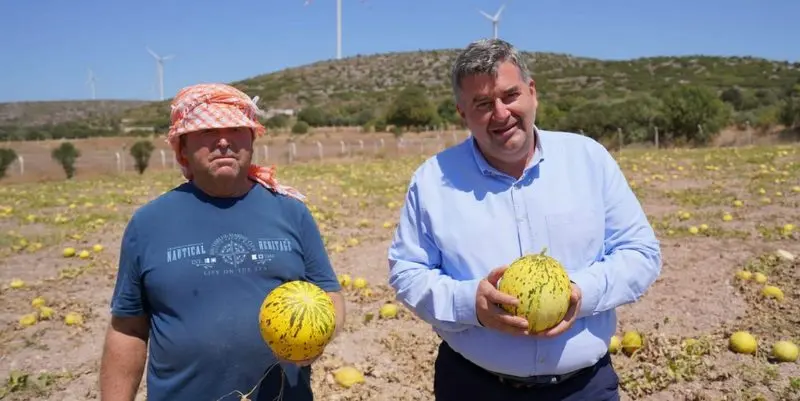 Çeşme Kavunu hak ettiği değere kavuştu