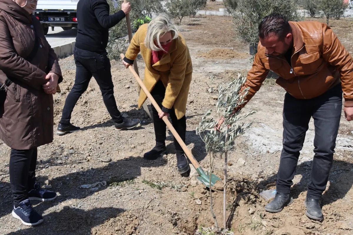 CHP Seferihisar’dan zeytin fidanı dikimi