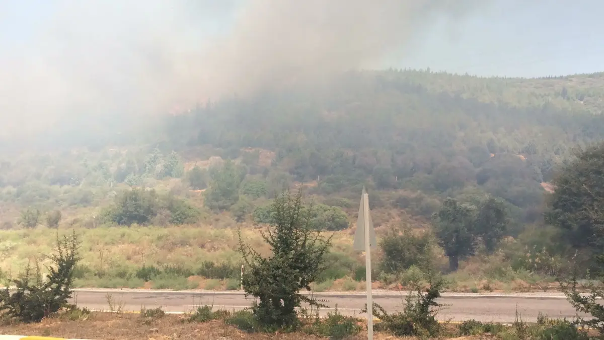 Doğanbey’de korkutan yakın