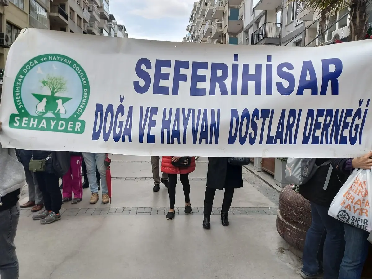 Hayvanseverler belediyelere seslendi: "Zalimce toplanmalar dursun”