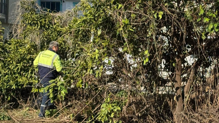 Hıdırlık Mahallesi’nde görüntü kirliliğine son