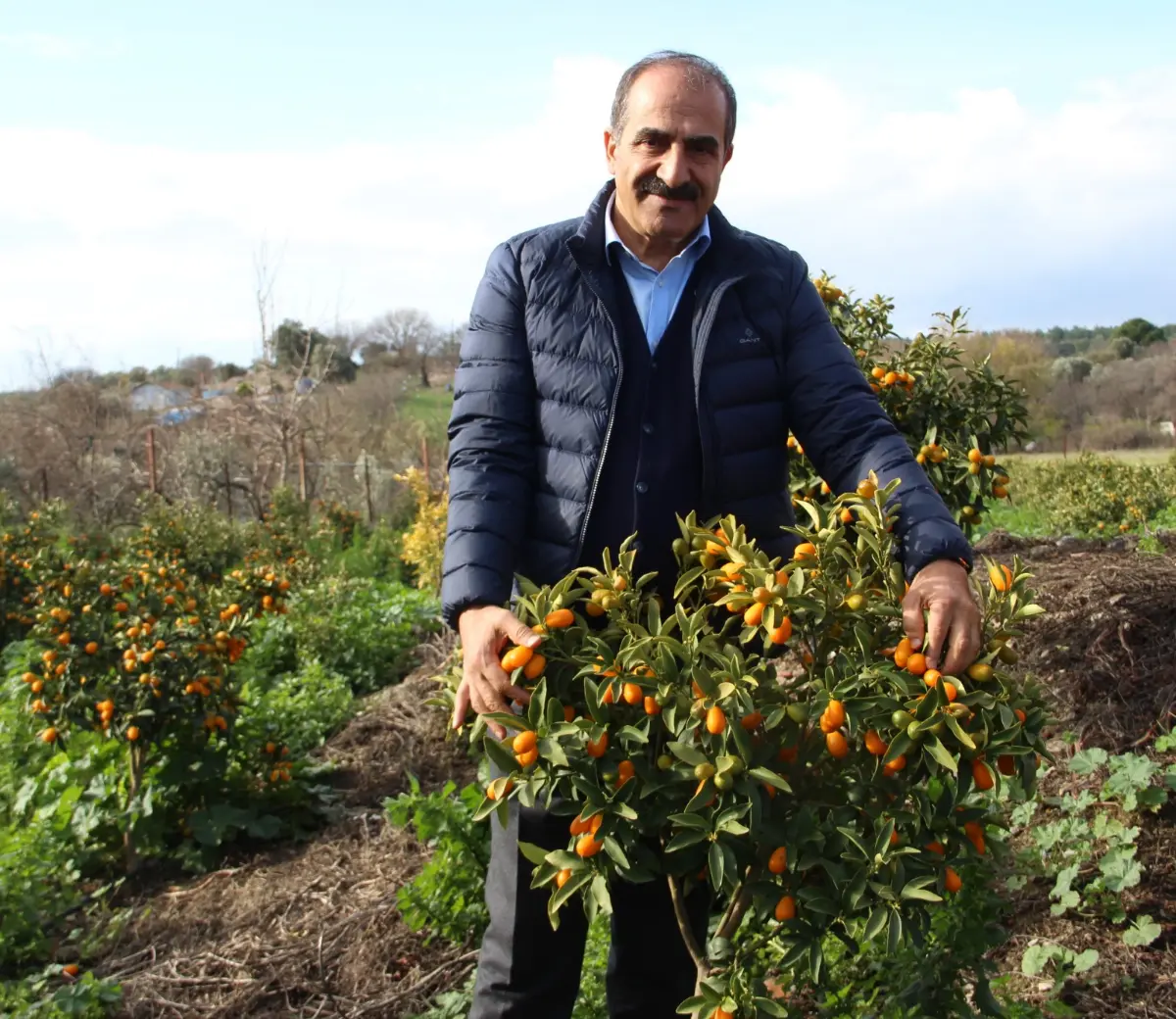 İzmir’in tarım ürünleri listesine kumkuat eklendi