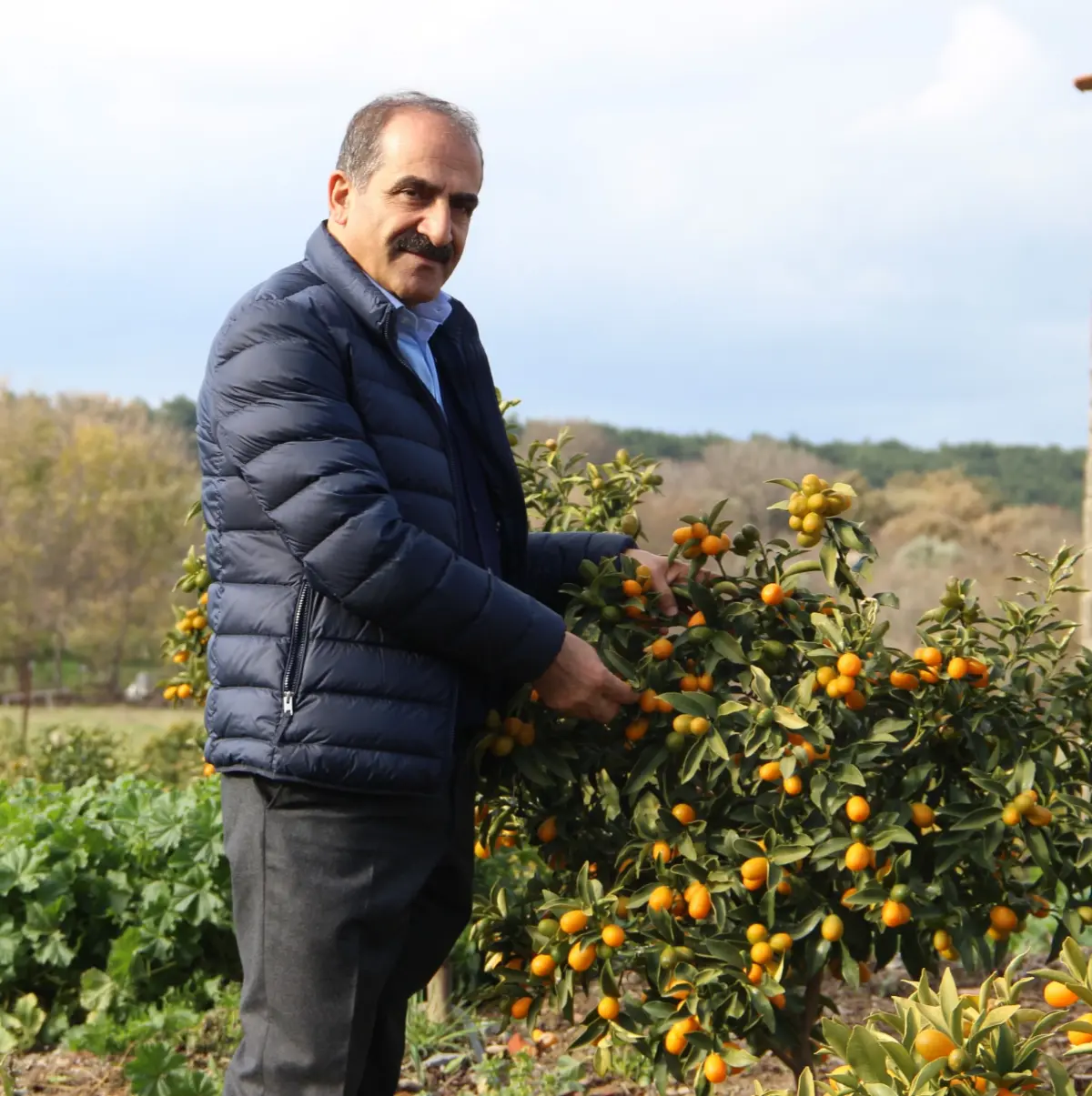 İzmir’in tarım ürünleri listesine kumkuat eklendi