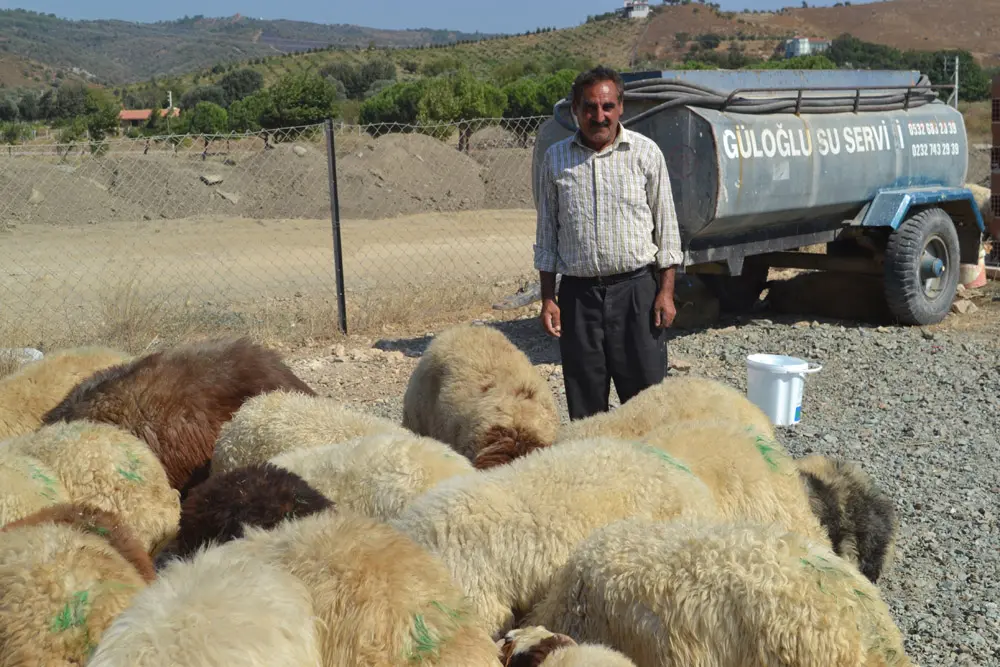 Kurban Satış Yerleri Belirlendi