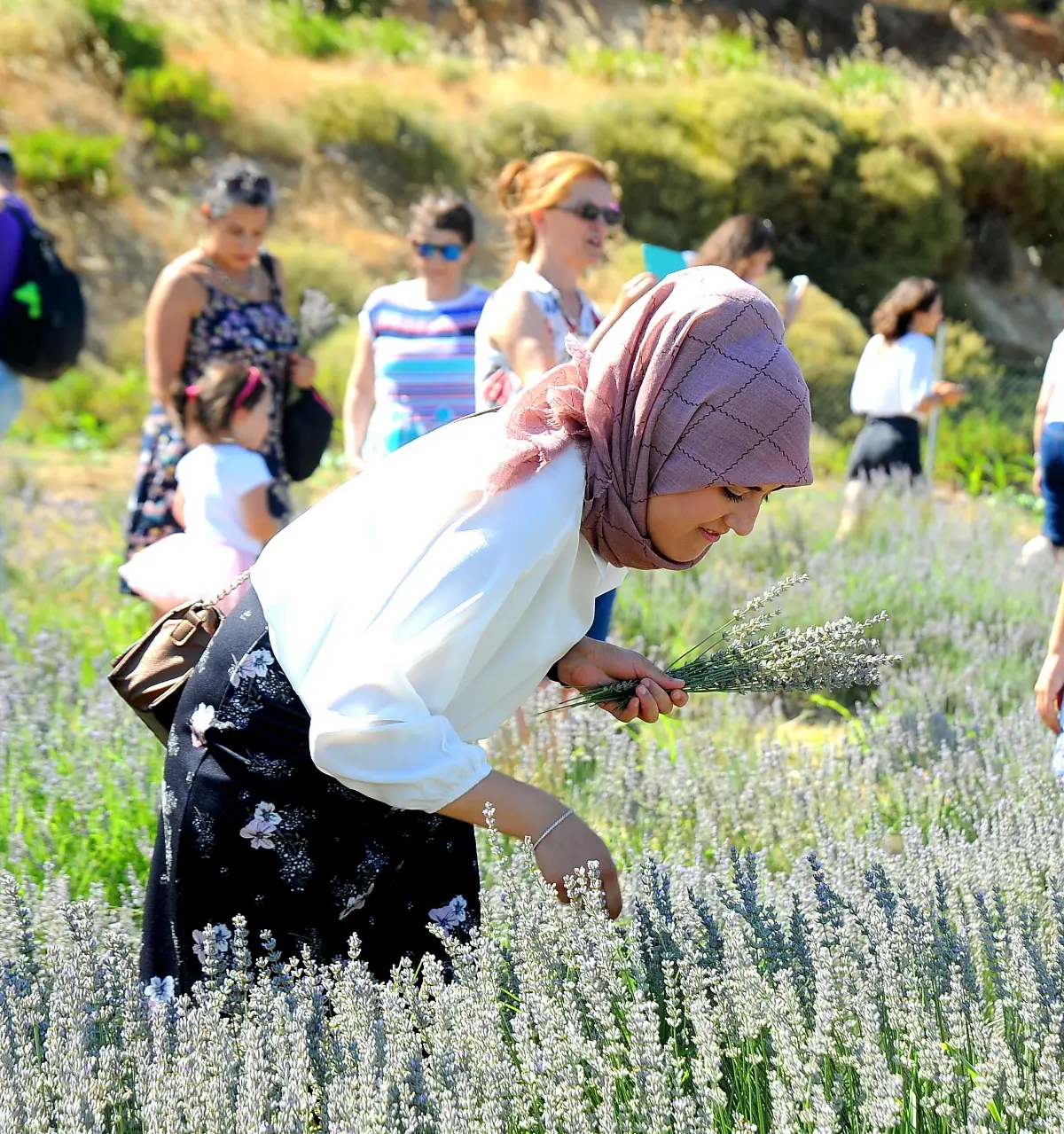 Lavanta Şenliği binleri ağırladı