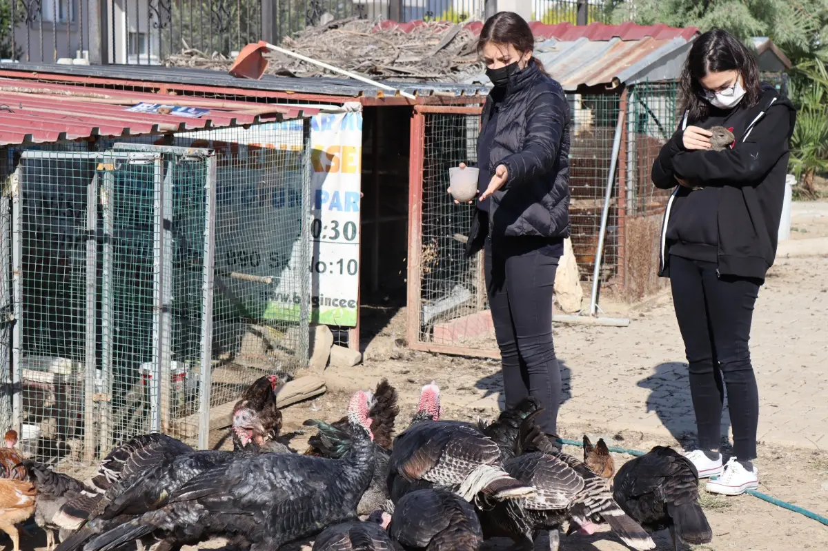 Lisede doğa ve hayvan sevgisi proje oldu