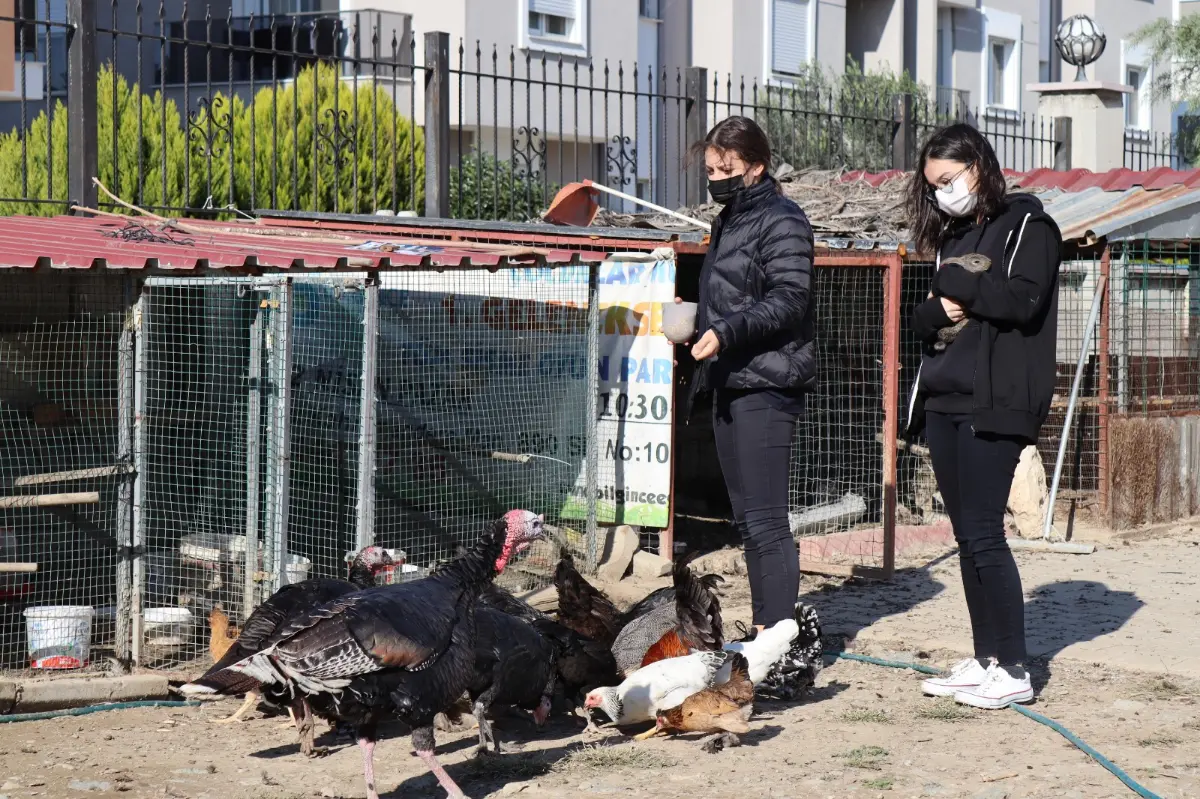 Lisede doğa ve hayvan sevgisi proje oldu