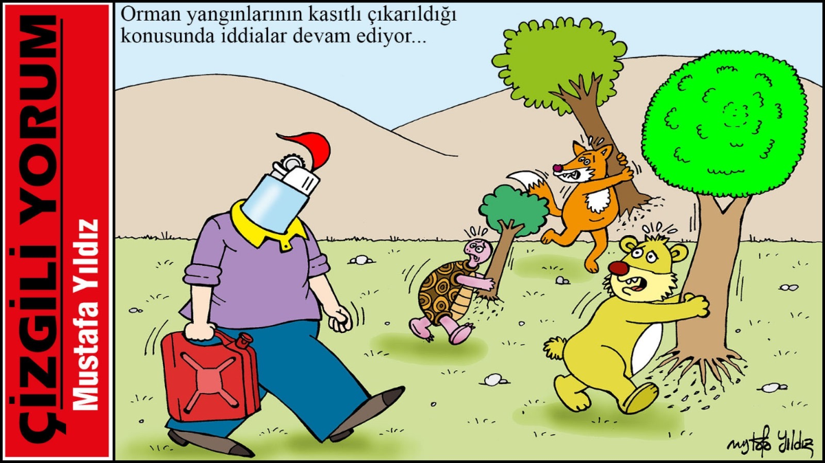Orman yangınları