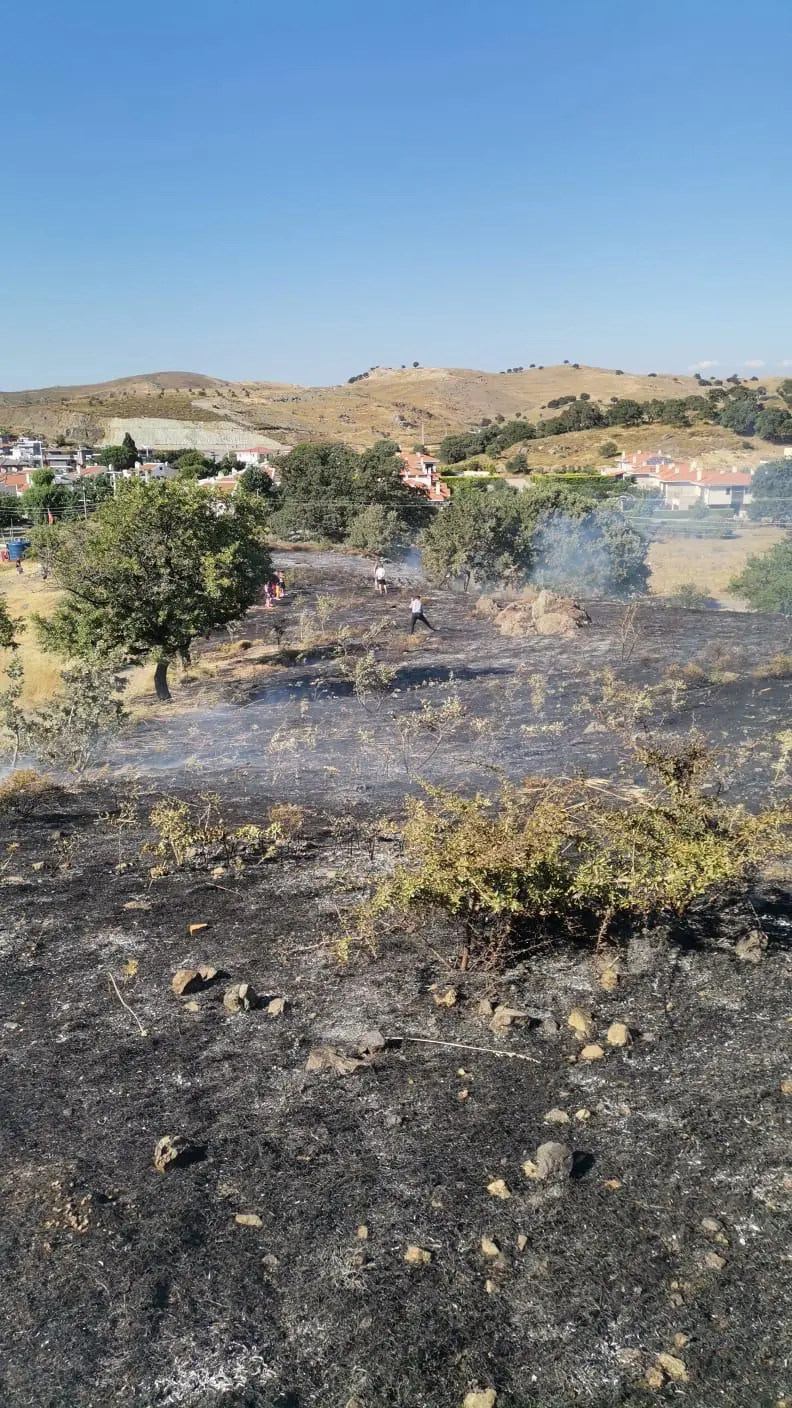 Orşal Malkaya Koyu’nda korkutan yangın