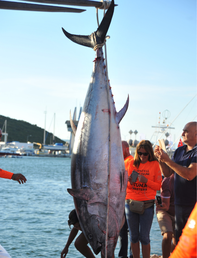 Rekorların turnuvası: Tuna Masters TEOS 10. Yılında Teos Marina’da