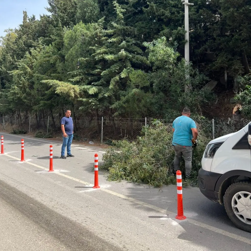 Seferihisar Belediyesi saha çalışmalarını sürdürüyor