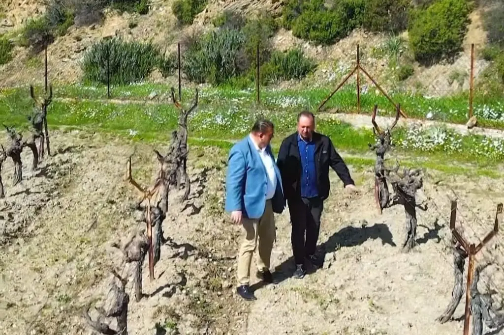 Seferihisar’da 5 bin litre "Sıvı Bordo Bulamacı” ilacı dağıtıldı