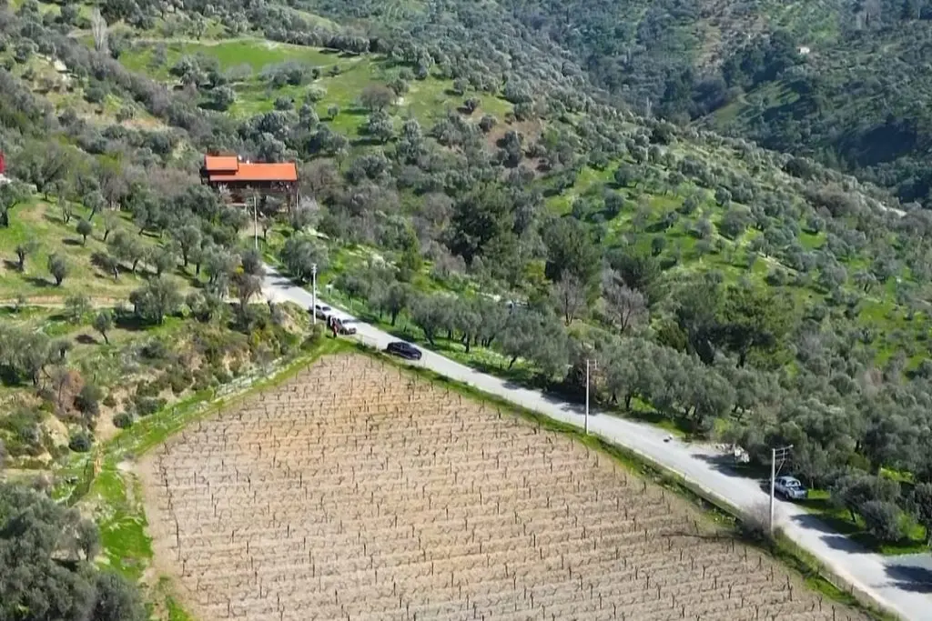 Seferihisar’da 5 bin litre "Sıvı Bordo Bulamacı” ilacı dağıtıldı