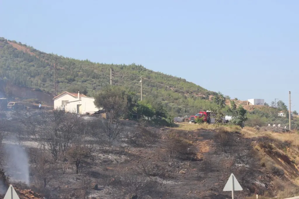 Seferihisar’da dört yangın korkuttu!