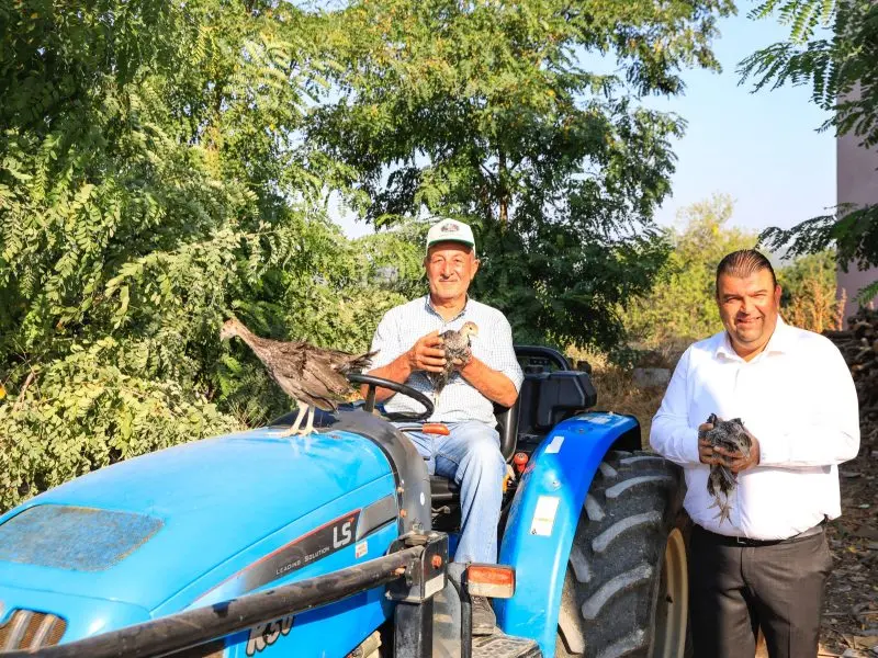 Seferihisar’da hindi üreticiliği desteklenecek