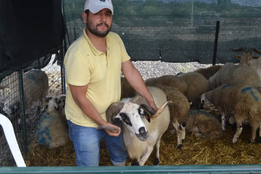 Seferihisar’da Kurban sahiplerinin yüzü gülüyor