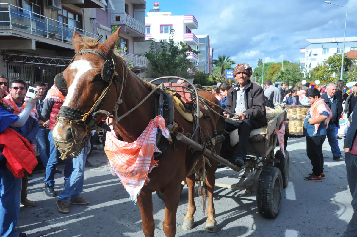 Seferihisar’da Turuncu Bayram Coşkusu