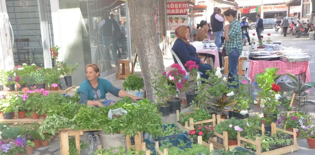 Seferihisar’da "Zeytinyağı Müzayedesi ve Yerel Tohum Etkinliği” başladı.