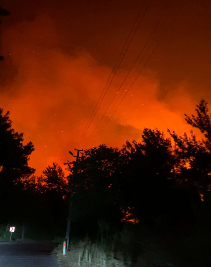 Seferihisar'daki yangının nedeni belli oldu