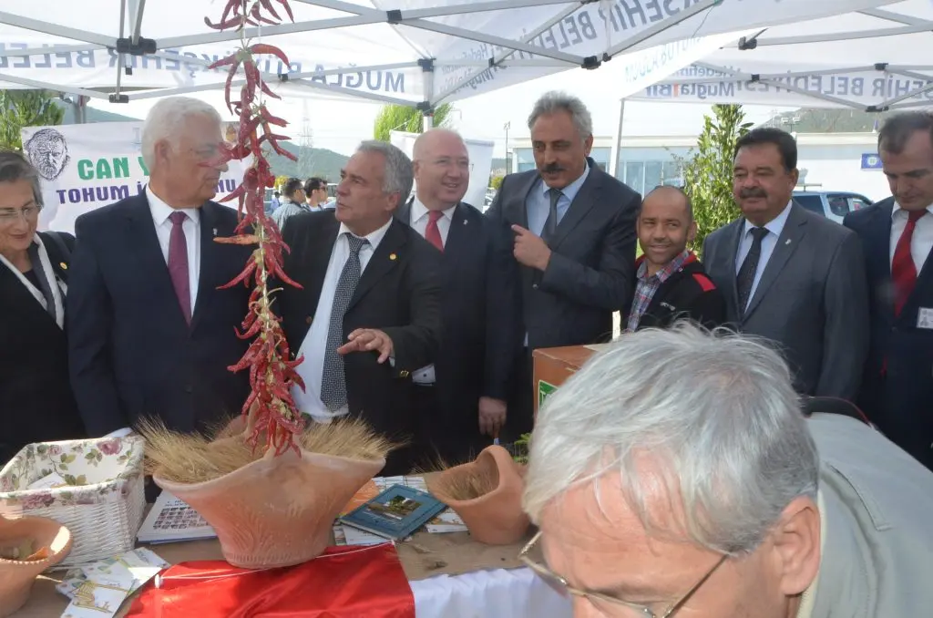 Seferihisar’dan sonra Muğla Büyükşehir Belediyesi de düğmeye bastı