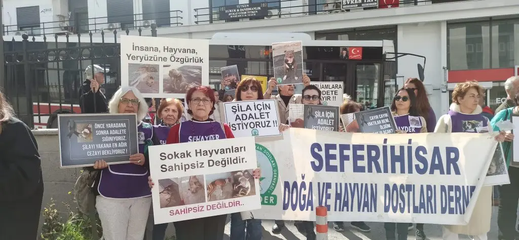 Şila için adalet: Tutuklama kararı çıktı