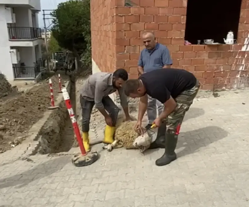 Tepecik Mahallesi kışa doğalgazla giriyor