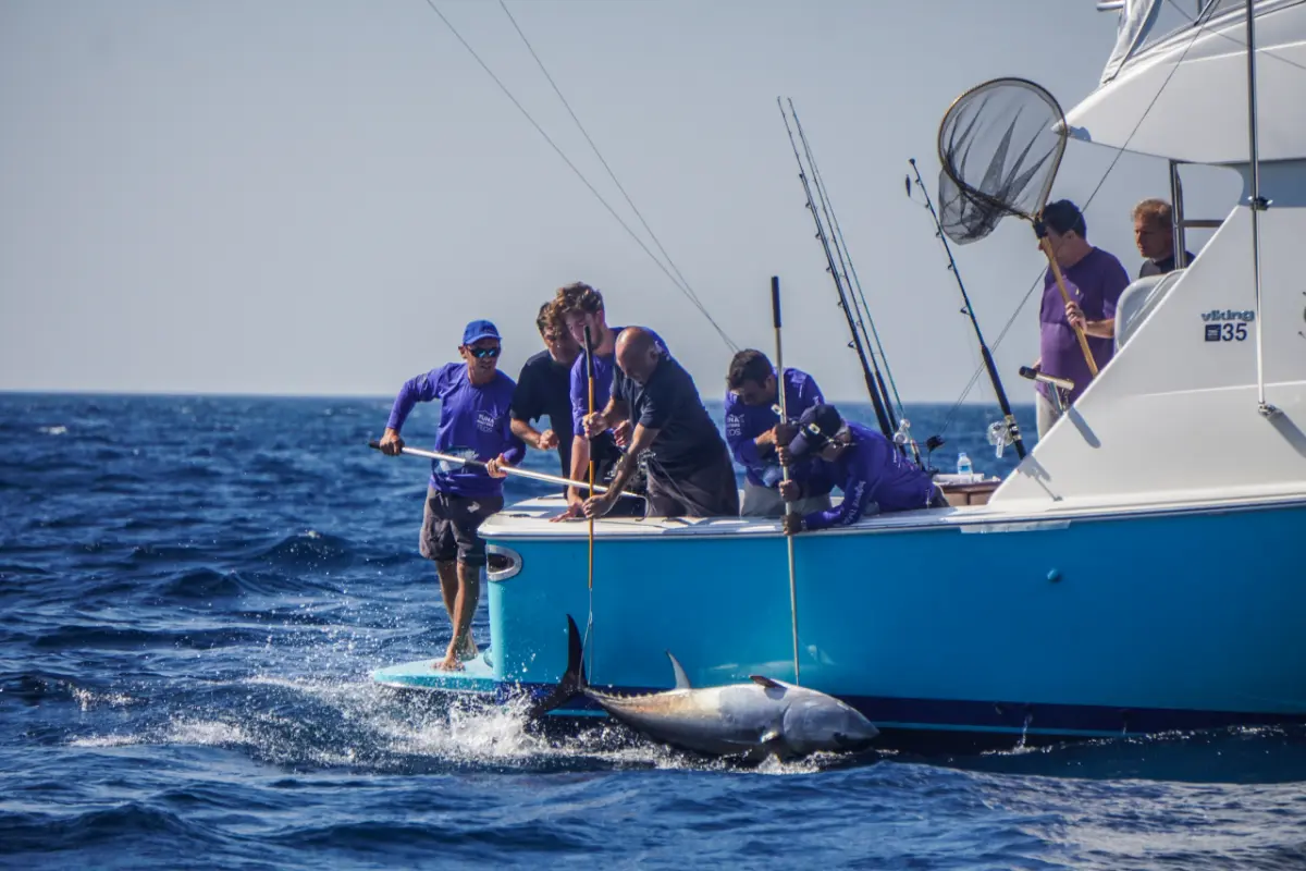 Tuna Masters Teos’ta en büyük balık Özgener’in Tornado ekibinden geldi