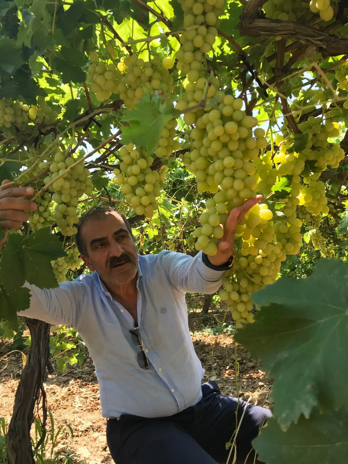 URGE Projesi ihracatı ikiye katlayacak