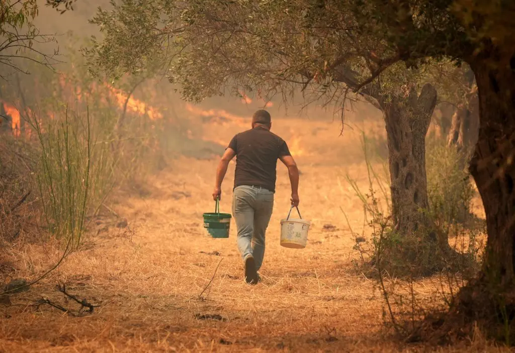 Urla’da yangın çıktı: 1 gözaltı kararı