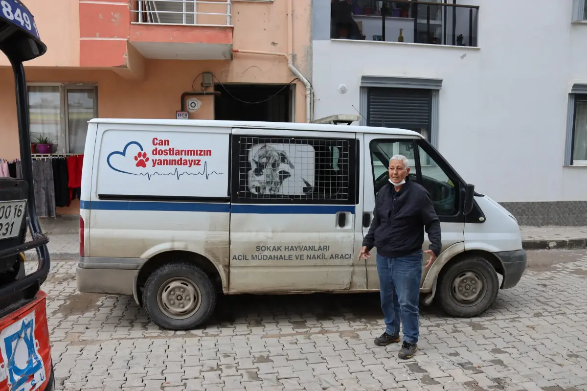 Yavru kediye SEHAYDER sahip çıktı