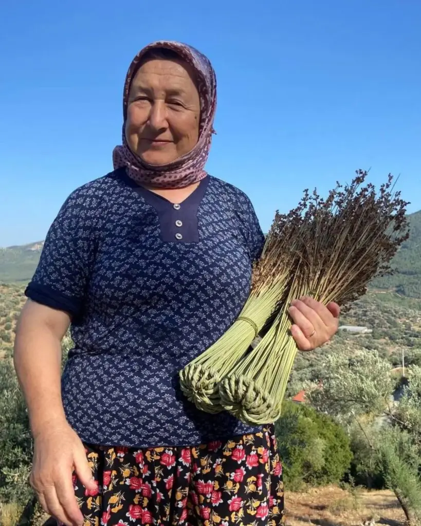 Yüz yıllardır devam eden gelenek kofa süpürgesine ilgi büyüyor