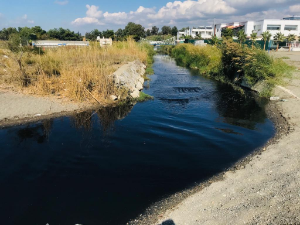 Akarca’da arıtma skandalı devam ediyor