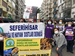 Hayvanseverler belediyelere seslendi: “Zalimce toplanmalar dursun”