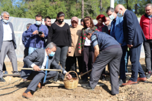 İl Müdürü Özen “Salep Üretimini İzmir’de Yaygınlaştırıyoruz”