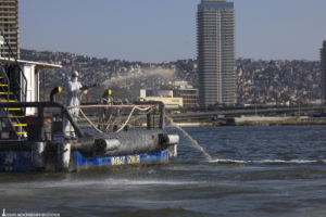 İzmir’de balık ölümlerini önlemek için modifiye kil kullanılacak