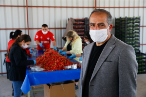 Kiraz ihracatçıları yeni sezondan umutlu