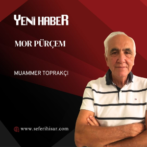 MOR PÜRÇEM