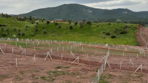 Orhanlı ve Kavakdere Köyü’nü hobi bahçeleri tehdit ediyor!