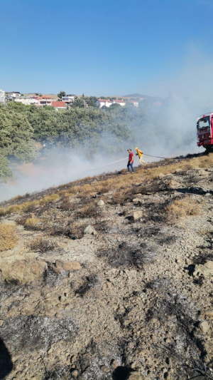 Orşal Malkaya Koyu’nda korkutan yangın