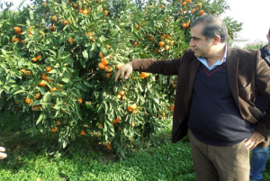 Rusya’ya ihracat durdu! İş adamı Hayrettin Uçak ‘Yeni pazarlar arıyoruz’ dedi.