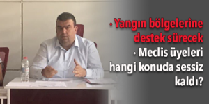 Seferihisar Meclisi’nde orman yangınları konuşuldu