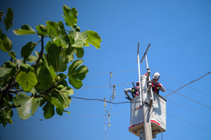 Seferihisar’da elektrik kesintisi