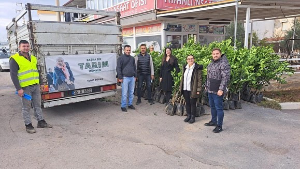 Seferihisar’da fidan dağıtımı