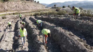 Seferihisar’da ilk bal ormanı