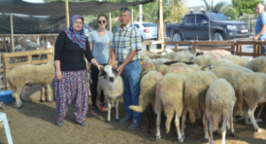 Seferihisar’da kurbanlıklar, kurban yerine kasaba gidecek!