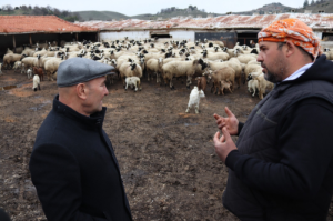 Seferihisar’da üreticinin ürünü Büyükşehir güvencesinde