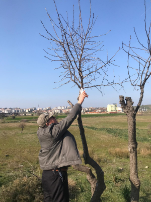 Seferihisar’ın doğa gönüllüsü