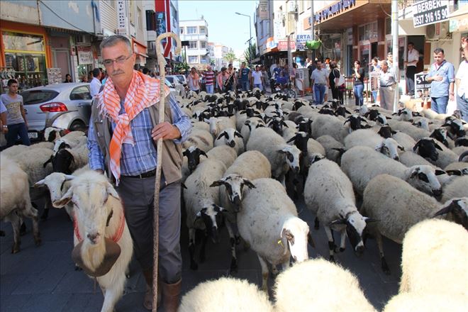 İzmirli çobanlar TBMM’de İletişim projesi için yarışmaya katılıyor