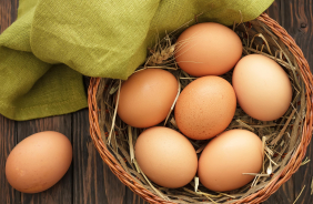 Köy Yumurtası Üretim Projesi başvuruları başladı